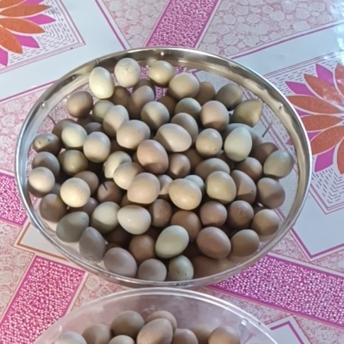 抚顺芦丁鸡