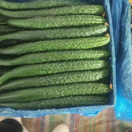 临朐县蔬菜