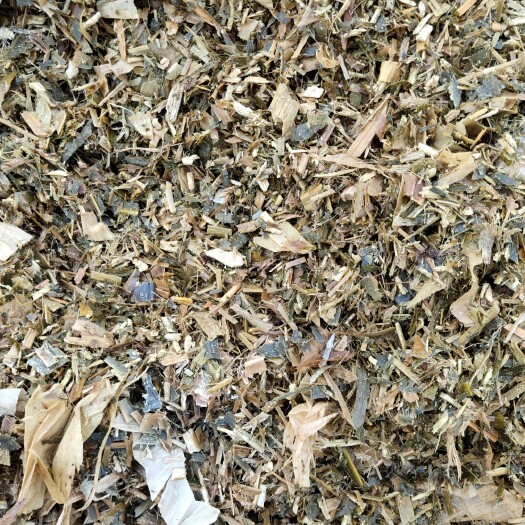临泉县精品青储黄储牛羊料不加水，现货一万吨