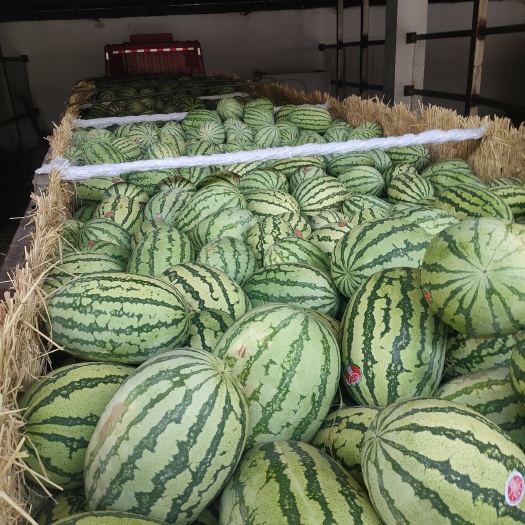 怀化佳惠物流水果公园四街8栋114
