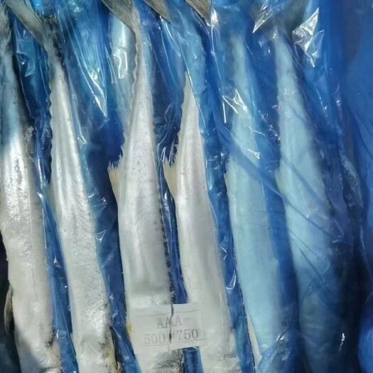 国产 陆冻马胶鱼