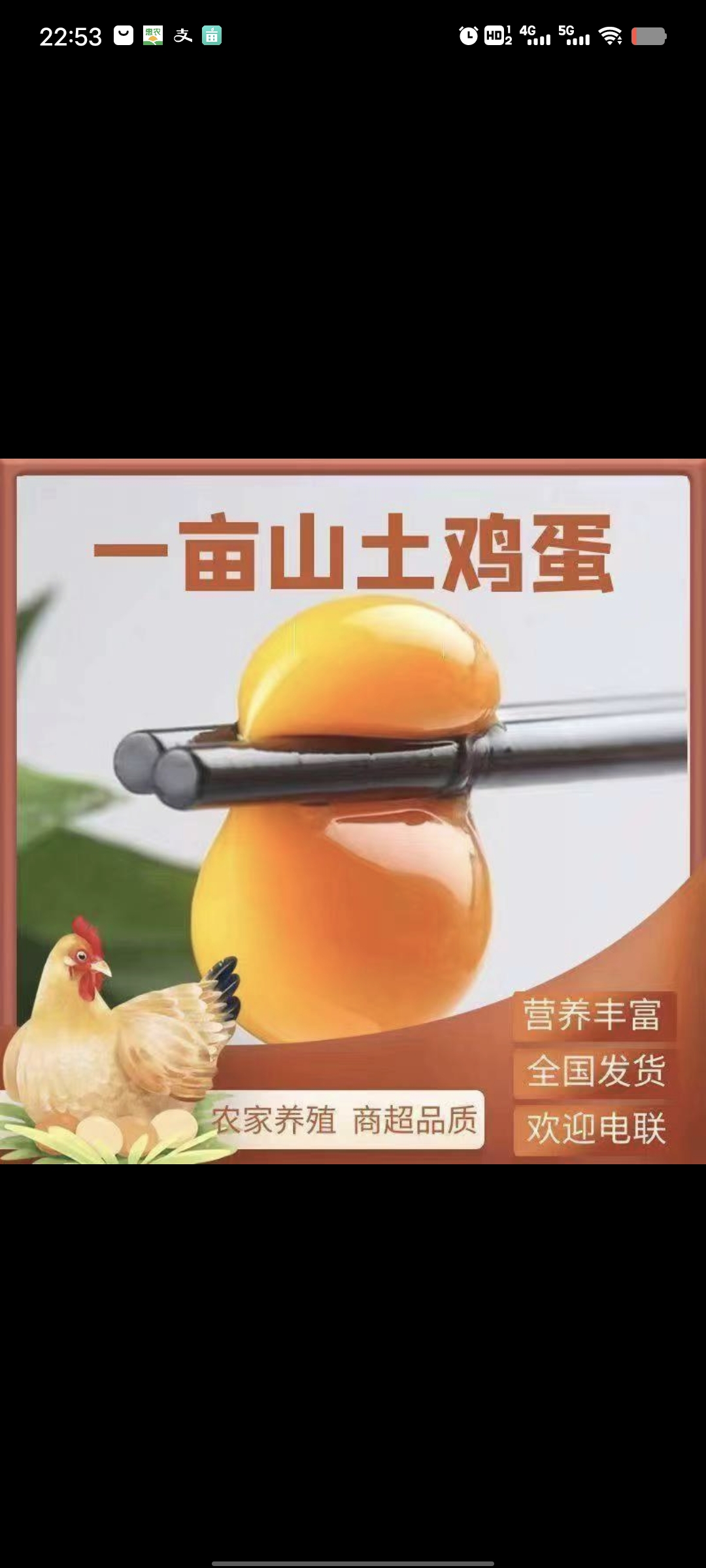 一畝山土雞蛋