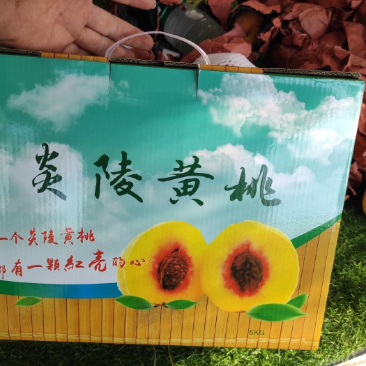 宜章县锦绣黄桃热卖中