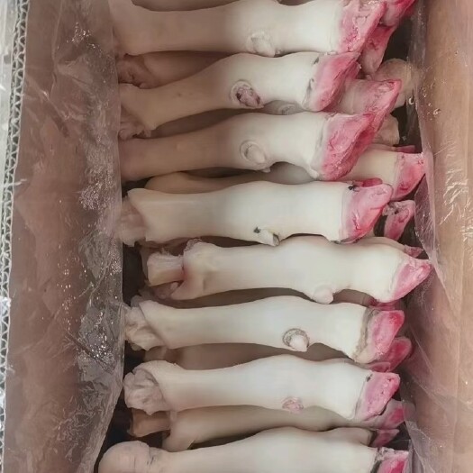 阳信县羊蹄