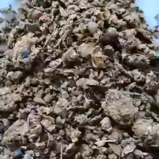 正定县晒干梨渣，使用于牛羊料！颗粒料！发酵料！也可直接投喂！