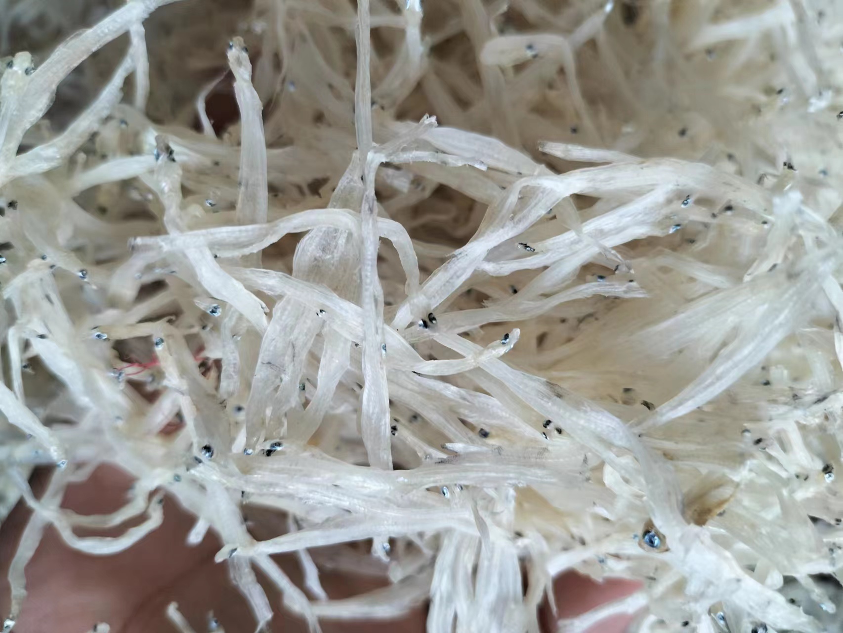 鄱湖珍品水產(chǎn)干貨