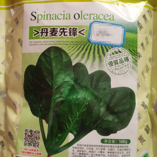 崇仁县菠菜种子～杂交菠菜新品种