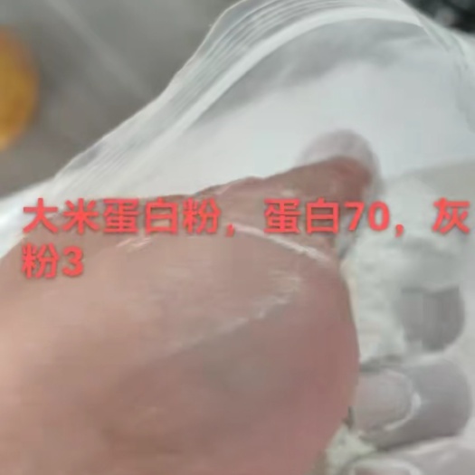 正定县大米蛋白粉，蛋白70，灰粉3