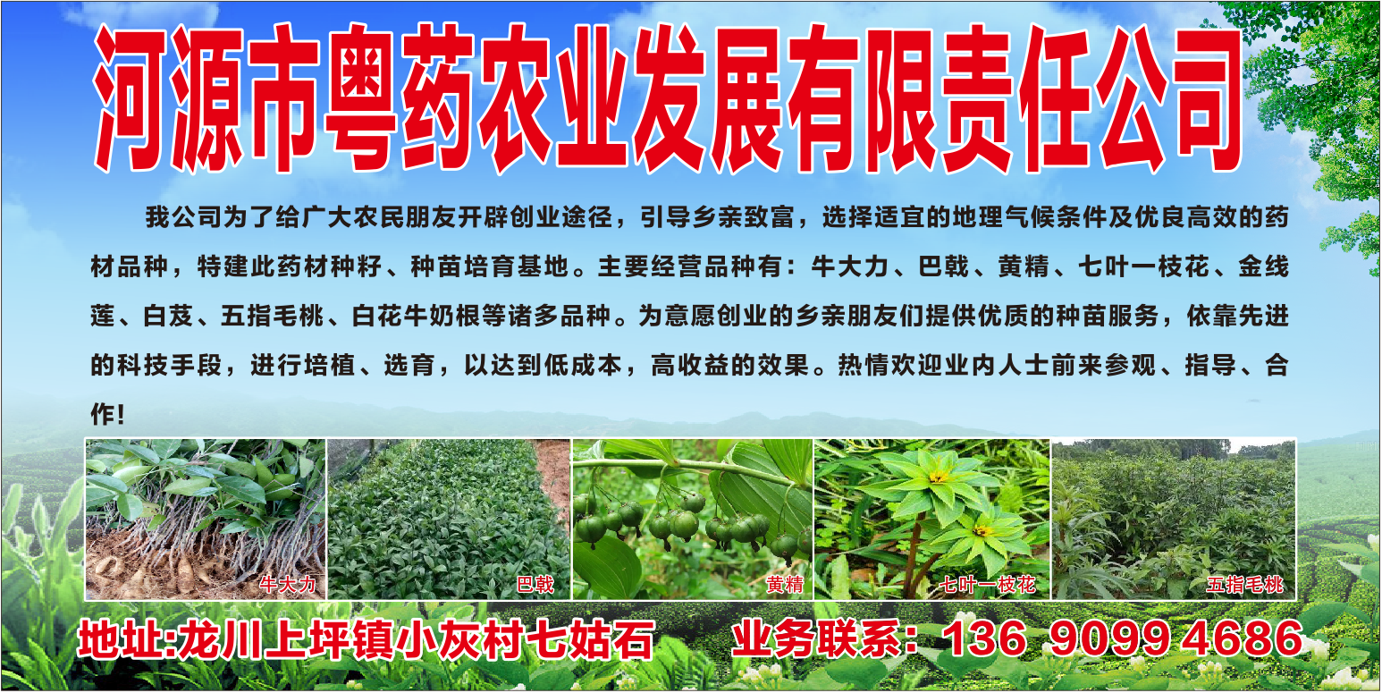 粵藥農(nóng)業(yè)藥業(yè)購銷種植基地