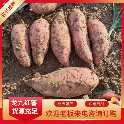 精品龙九红薯，货源充足，市场货电商货，支持各种包装，一手货源