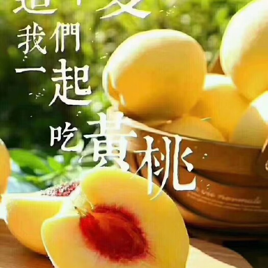 炎陵县炎陵高山黄桃，是生长在海拔800--1200米的高山水果。