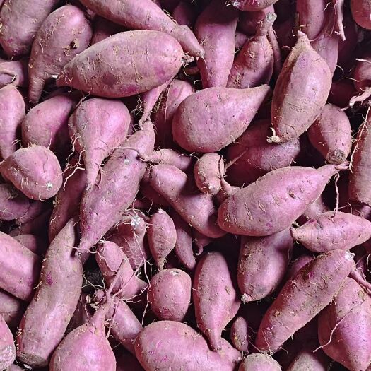 宜城市紫薯，纯山岭地，粉糯香甜，质量保证，合作共赢