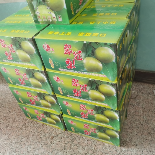 靖江市脆梨翠冠梨自己家梨园靖江斜桥现摘现发