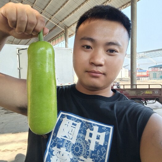 邯郸【瓠瓜】邯郸精品瓠瓜  短瓠瓜 长瓠瓜 质量优 支持视频看货