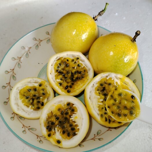 海口钦蜜九号百香果  甜度在20度 果肉饱满