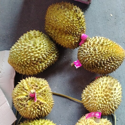 高碑店市这个年月还是干手选吧，可以干好货的来