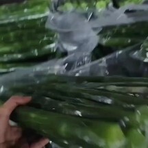 高密市去皮莴苣，真空包装三青、红尖叶