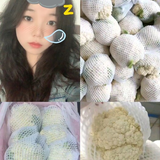 沽源县散花