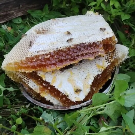 德昌县野生野蜂蜜