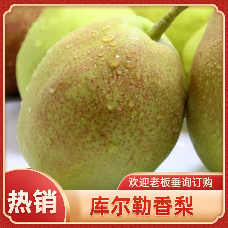 库尔勒市库尔勒香梨，顺丰包邮一件代发，全国发货，支持团购档口供货