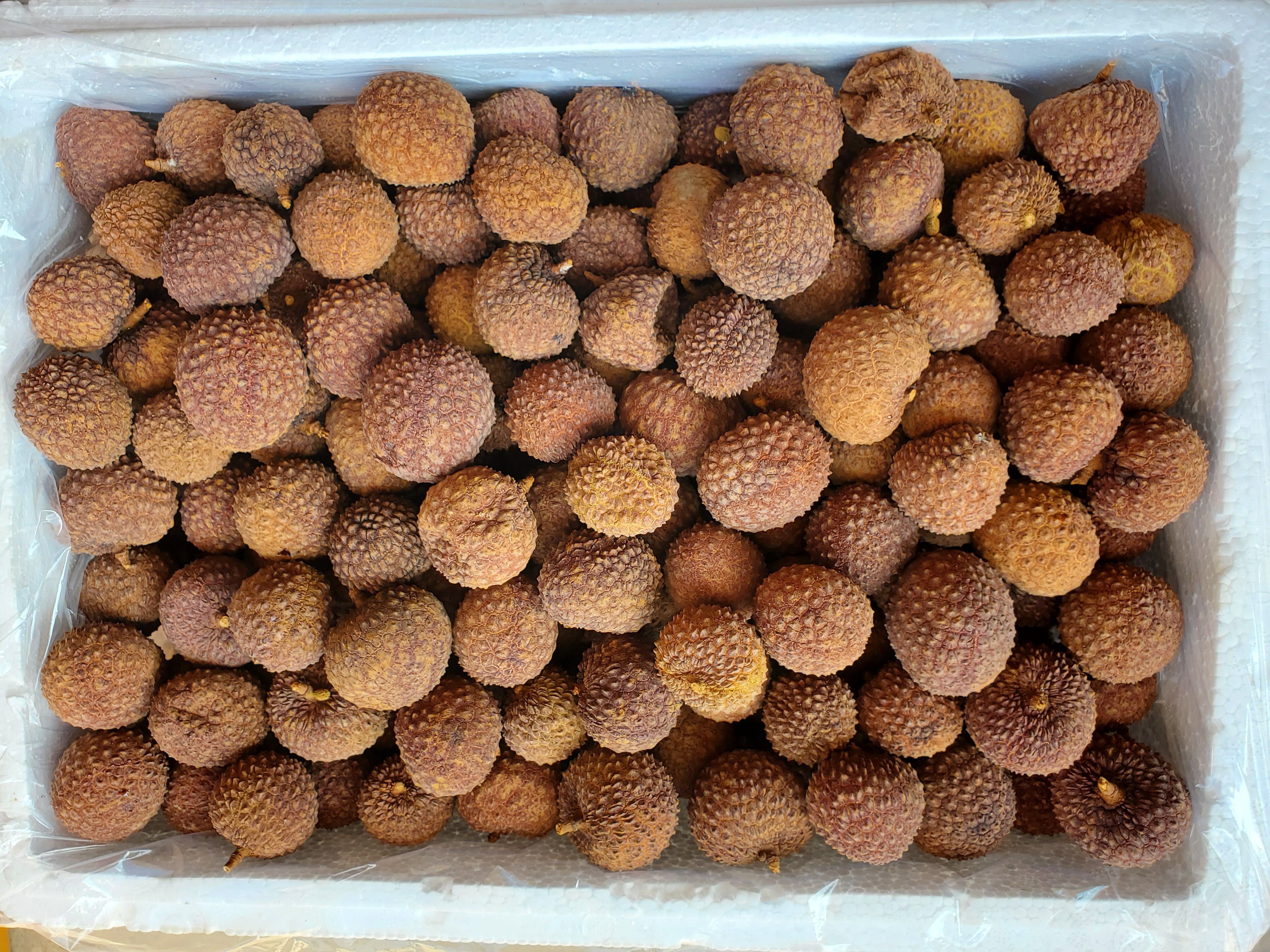 荔枝干小核肉厚 各种荔枝干 支持大小量批发 一件代发