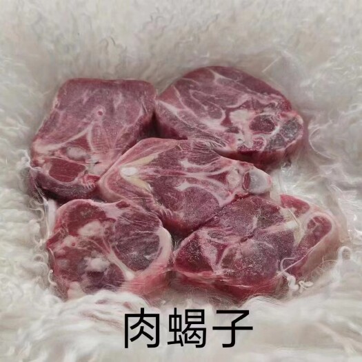 银川宁夏滩羊  羔羊肉满肉羊蝎子