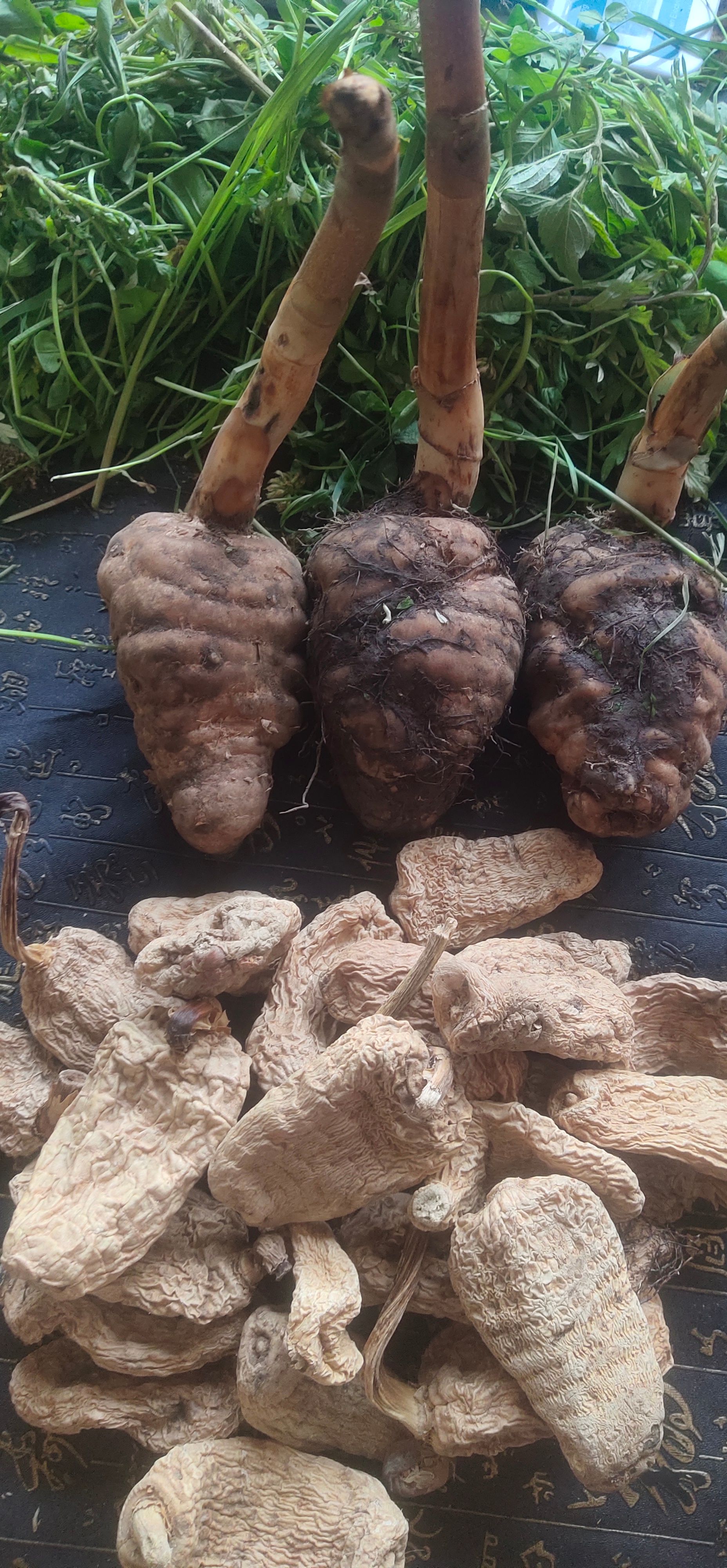 高海拔天麻 纯乌天麻干品 自然 颜色