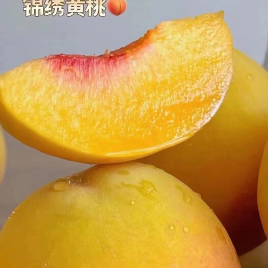 石棉县锦绣黄桃基地，一天发万把斤