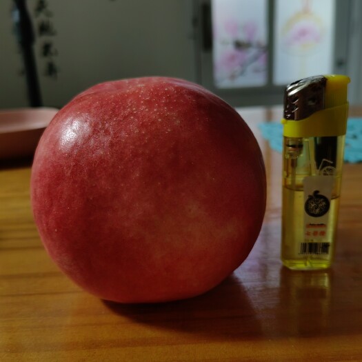 大连油20