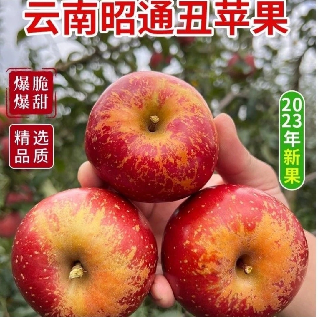 昭通冰糖心丑苹果