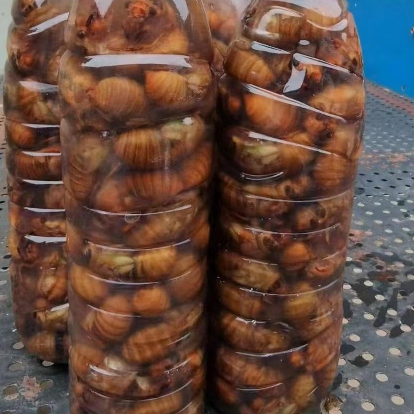 方城县瓶装活体速冻金蝉白蝉批发，每瓶五十只装，瓶装金蝉