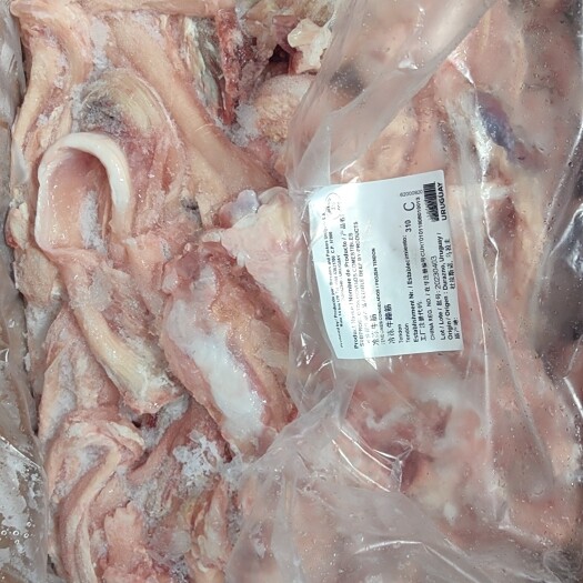 上海鲜美牛蹄筋 牛副产品 优质肉筋 快速发货