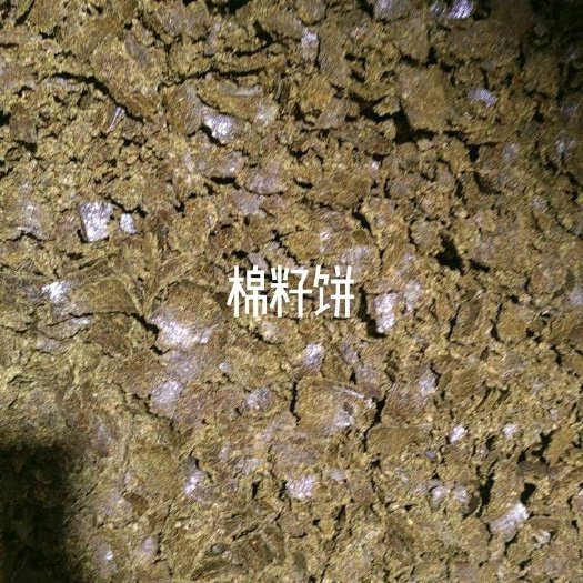 石家庄棉籽饼饲料