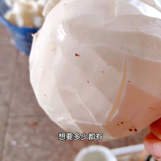 文昌市椰子肉新鲜打包，榨椰奶香味十足，不需要费手自己取椰子肉！