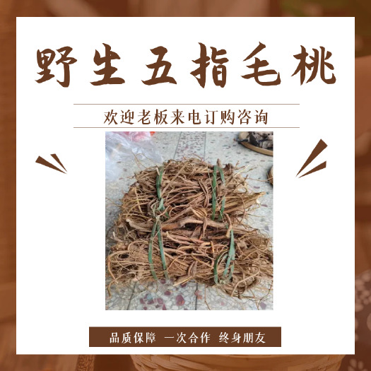 金秀县五指毛桃