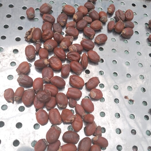 博白县荔枝核，今年新产荔枝核