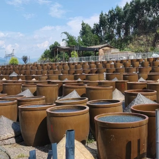 贺州臻味湟传统古法土黄豆陶缸精酿酱油无味精咸香调味品