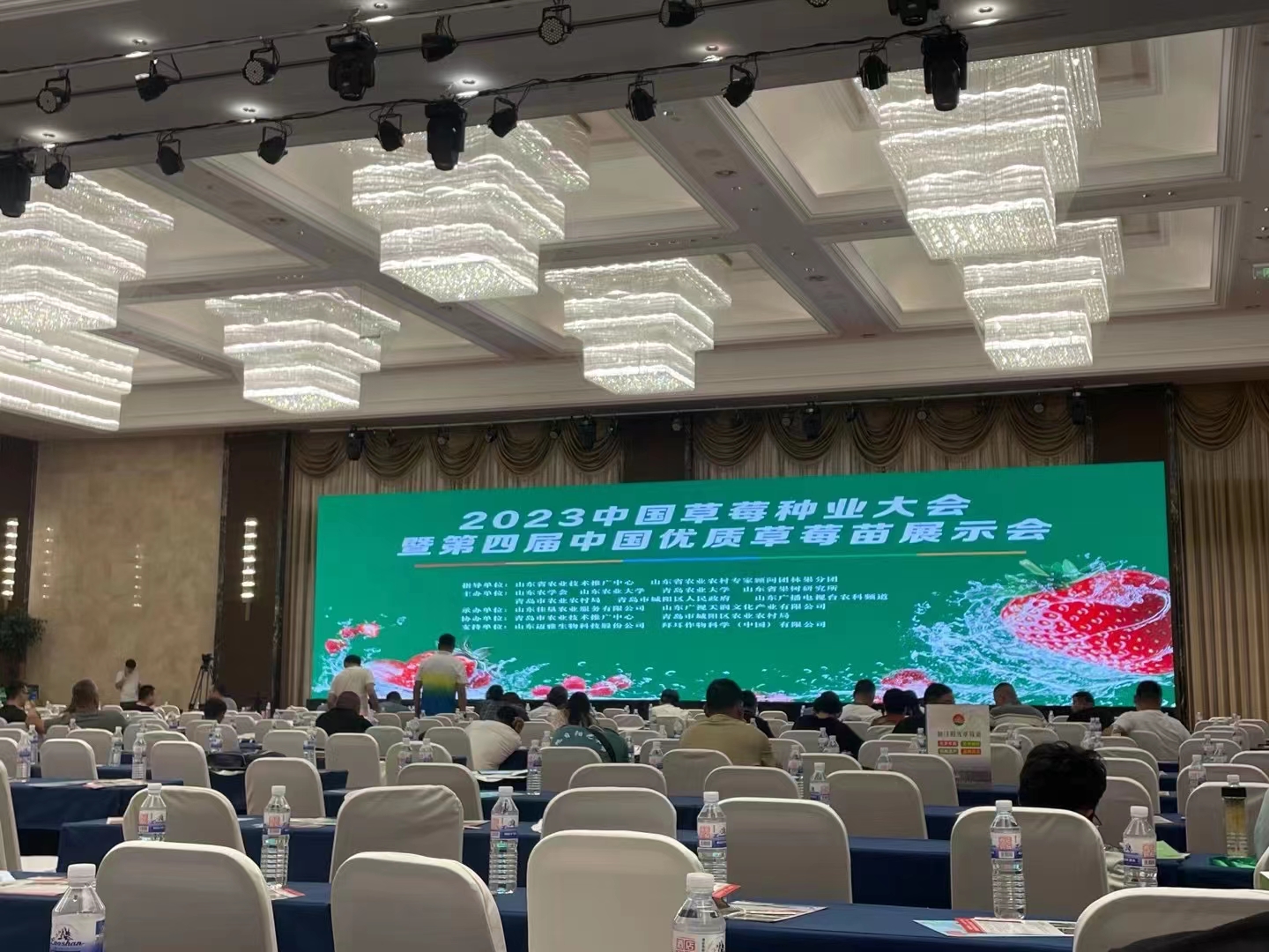 鵬翔苗木