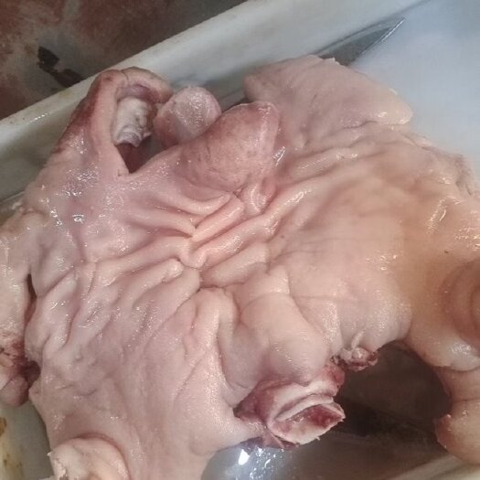 中牟县熟羊头肉去骨，熟牛肚，熟羊肚，，各种羊副产品，牛副产品，