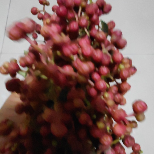 灵宝市花椒，鲜花椒，干花椒，优质量大，采收中欢迎各地订购
