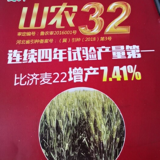 南宫市山农32
