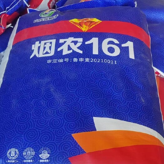 济南烟农161，烟农1212和济麦22杂交新品，抗病好，产量高