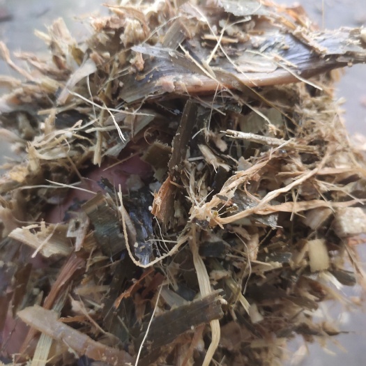 洋县黄储批发