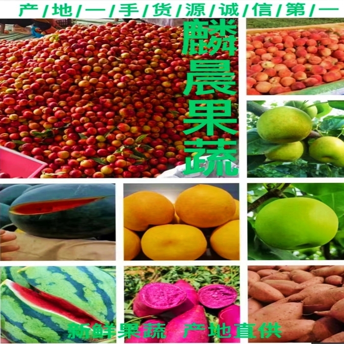 麟晨果蔬產地直供