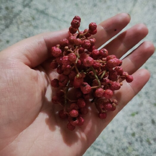 富平县陕西渭南大红袍花椒，干花椒