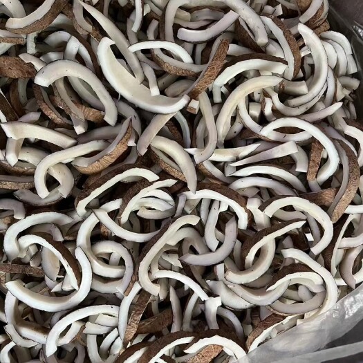 佛山椰皇 海底椰干 椰 椰片