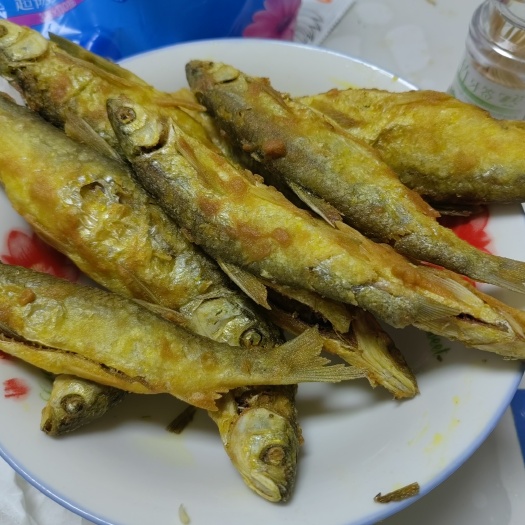 小刁子鱼