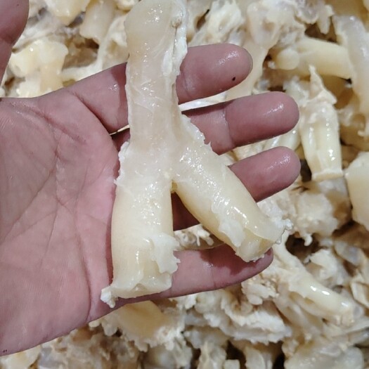 阳信县国产水发牛蹄筋，诚招代理商，
