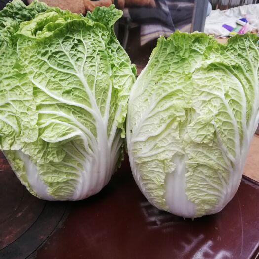 鲁甸县高原绿色蔬菜基地自产自销