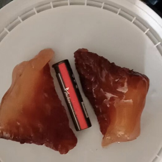 滨州渤海湾海蜇头